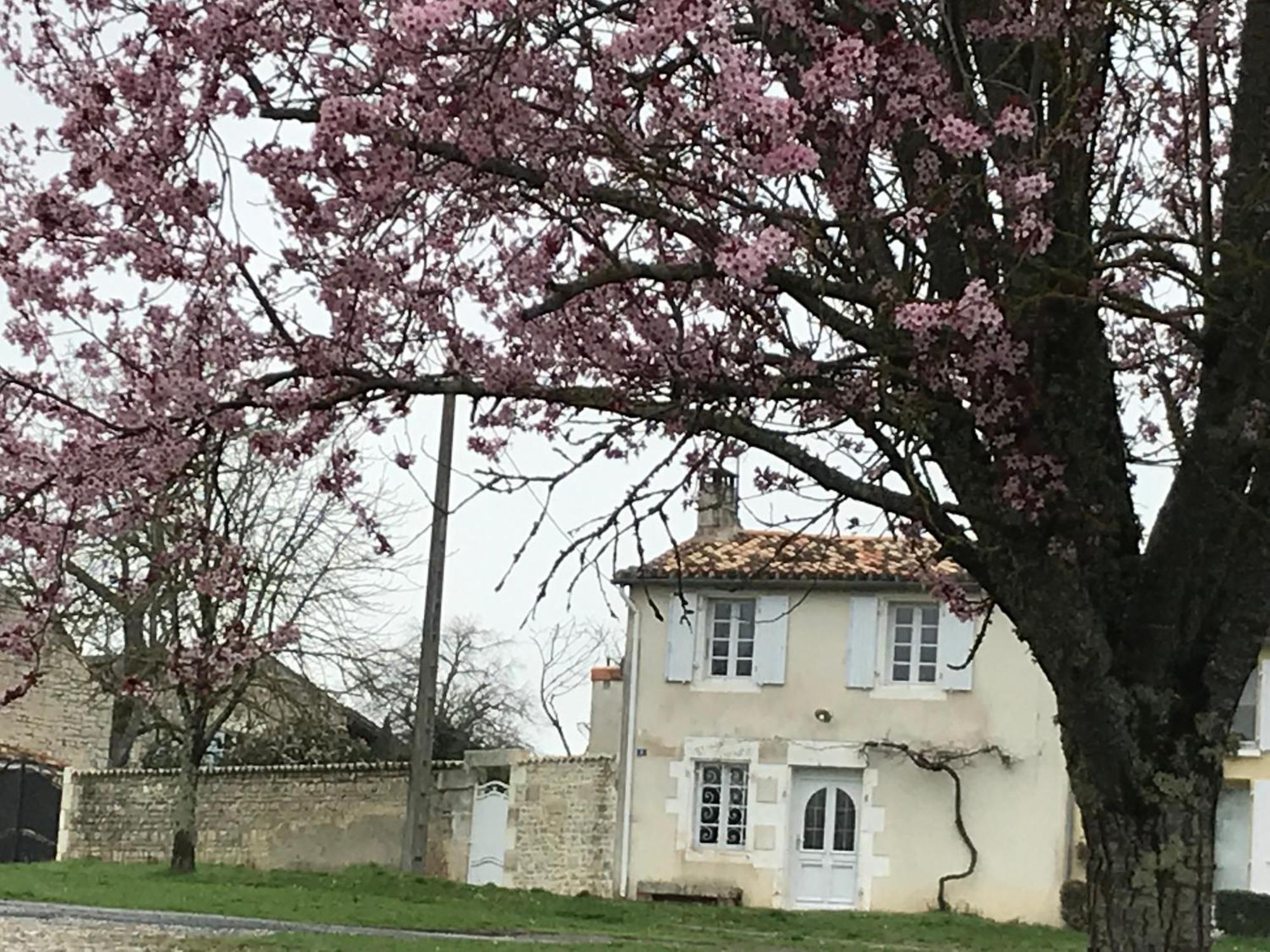 La Maison De Josephine Montignac-Charente Екстер'єр фото